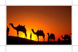 Tours to Jaisalmer