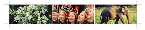Tours to Mizoram